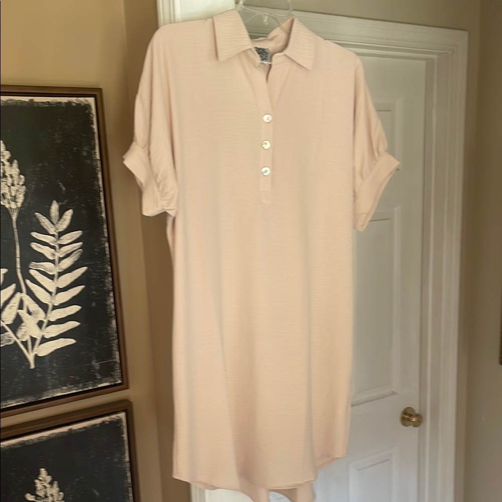 Ivy Jane Blush Button Down Shirt Dress